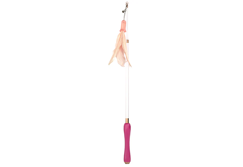 10-in-1 Extendable Cat Laser and Teaser - Image 2