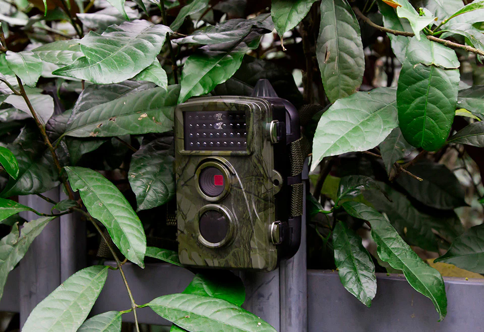 1080p Nature Trail Camera - Image 3