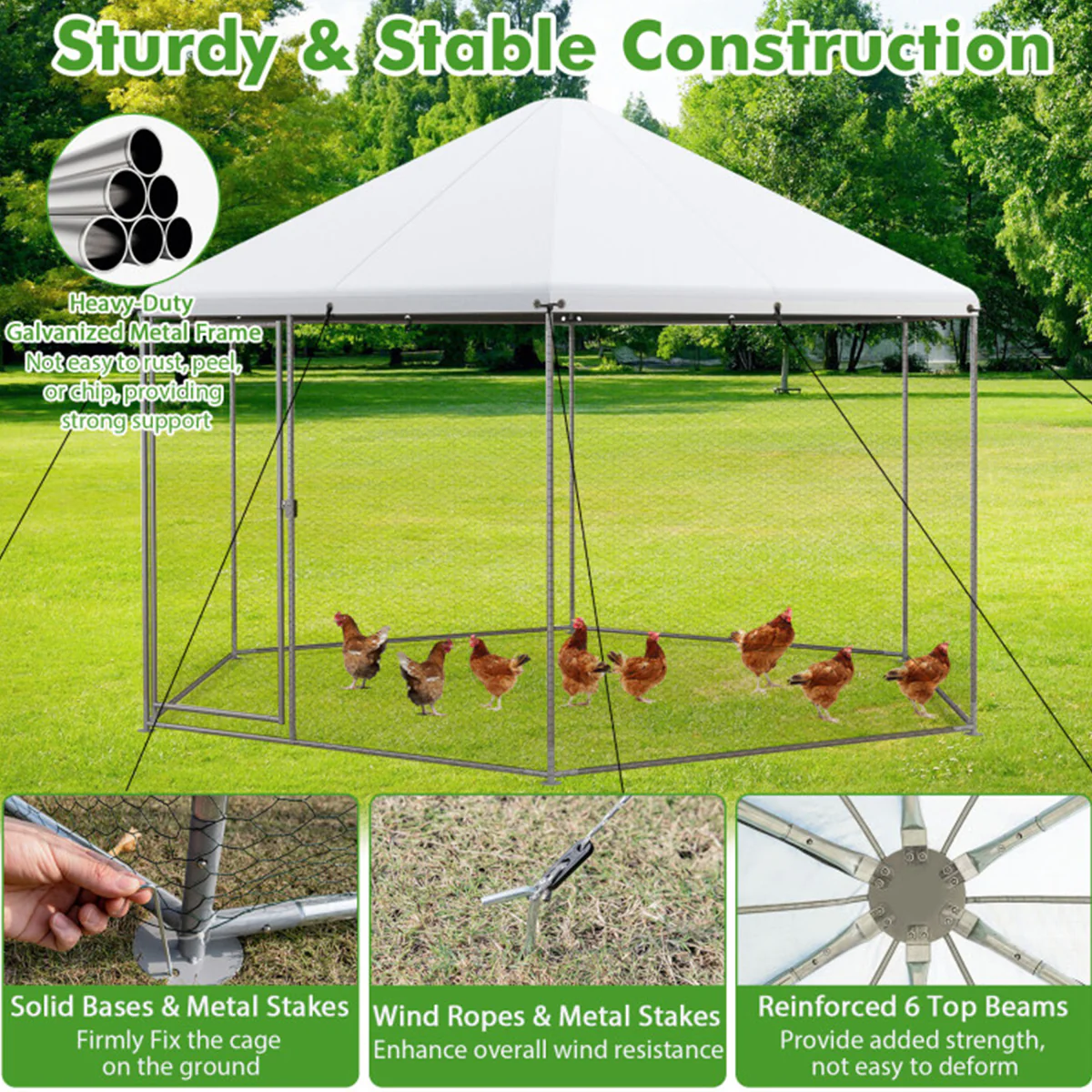 13' Wire Mesh Hexagonal Chicken Coop - Image 4