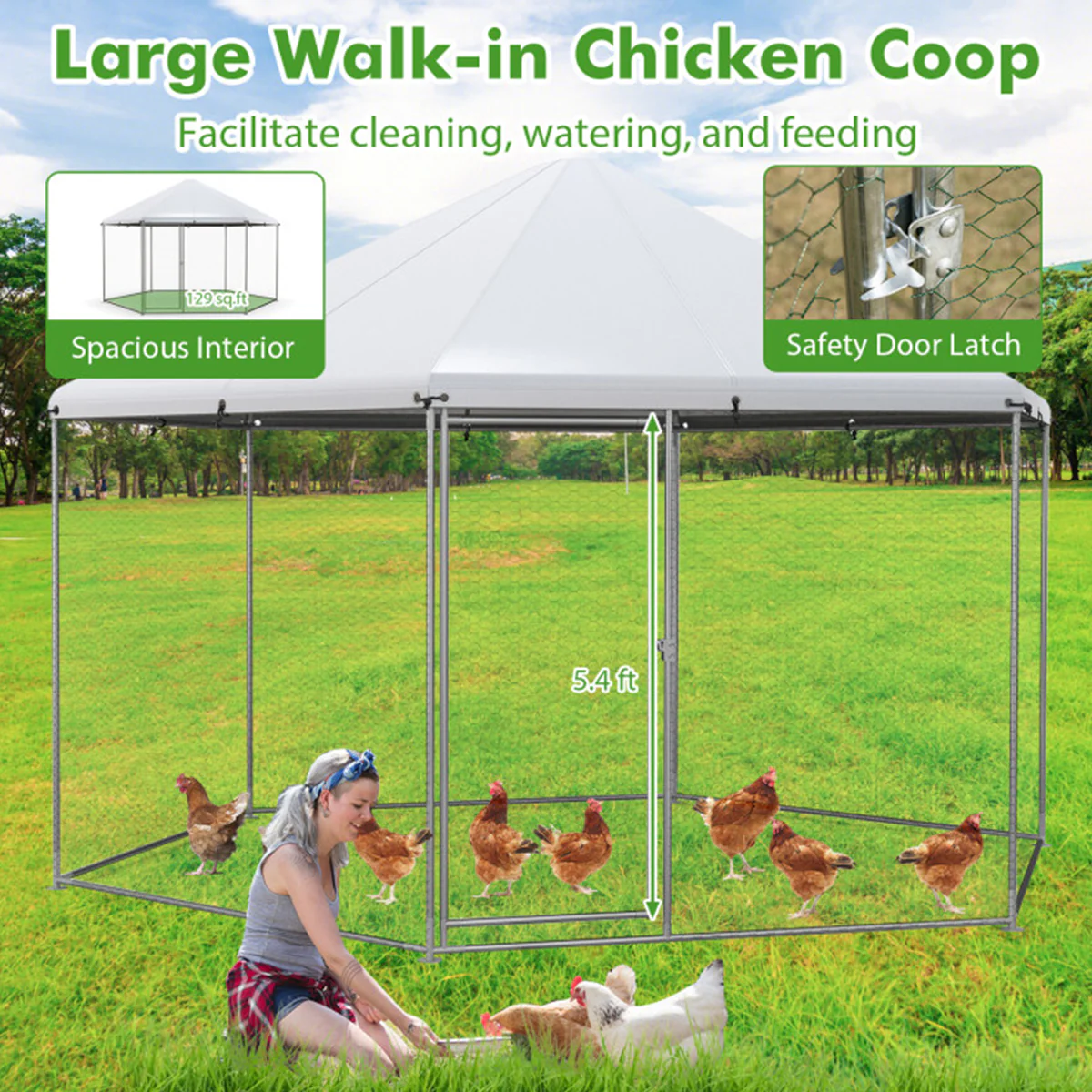 13' Wire Mesh Hexagonal Chicken Coop - Image 5