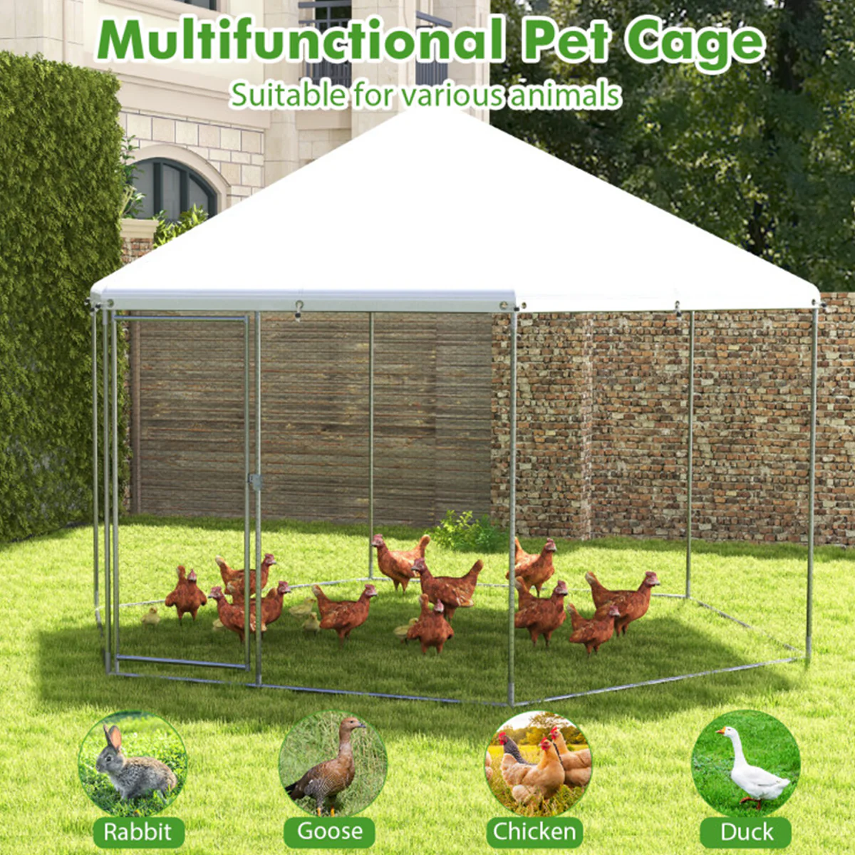 13' Wire Mesh Hexagonal Chicken Coop - Image 6