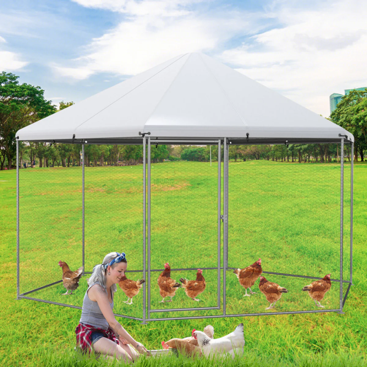 13' Wire Mesh Hexagonal Chicken Coop - Image 9