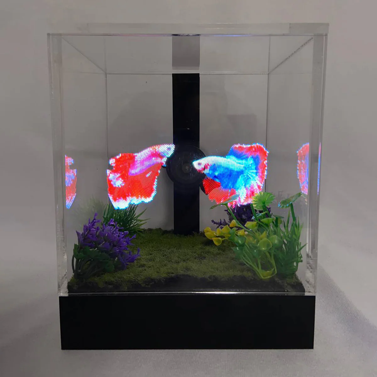 3D Holographic Aquarium - Image 10