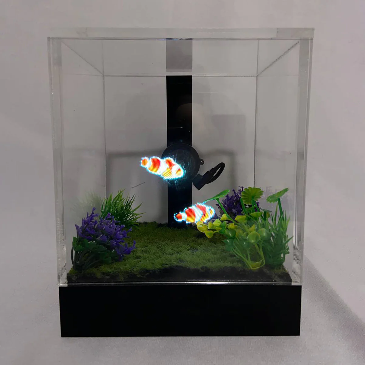 3D Holographic Aquarium - Image 12