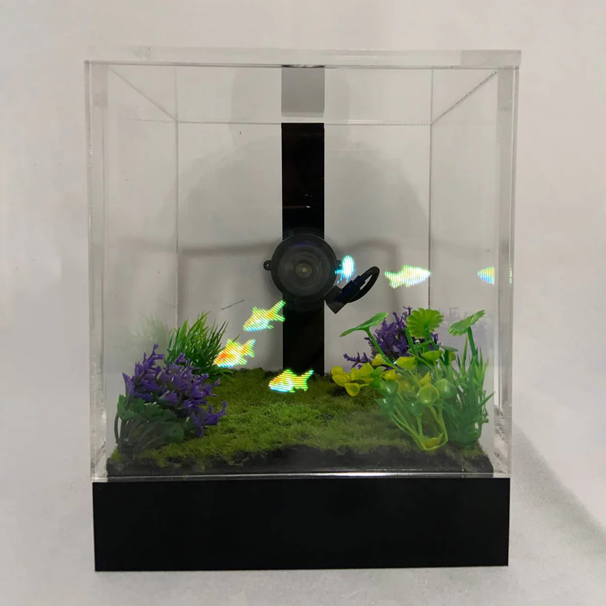 3D Holographic Aquarium - Image 14