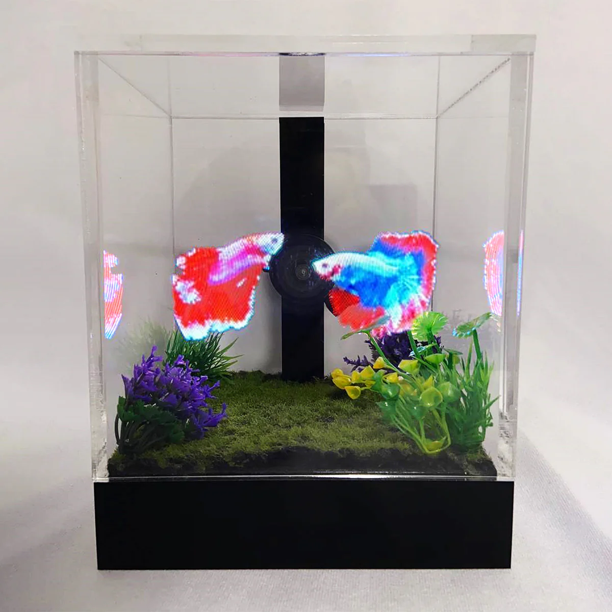 3D Holographic Aquarium - Image 16