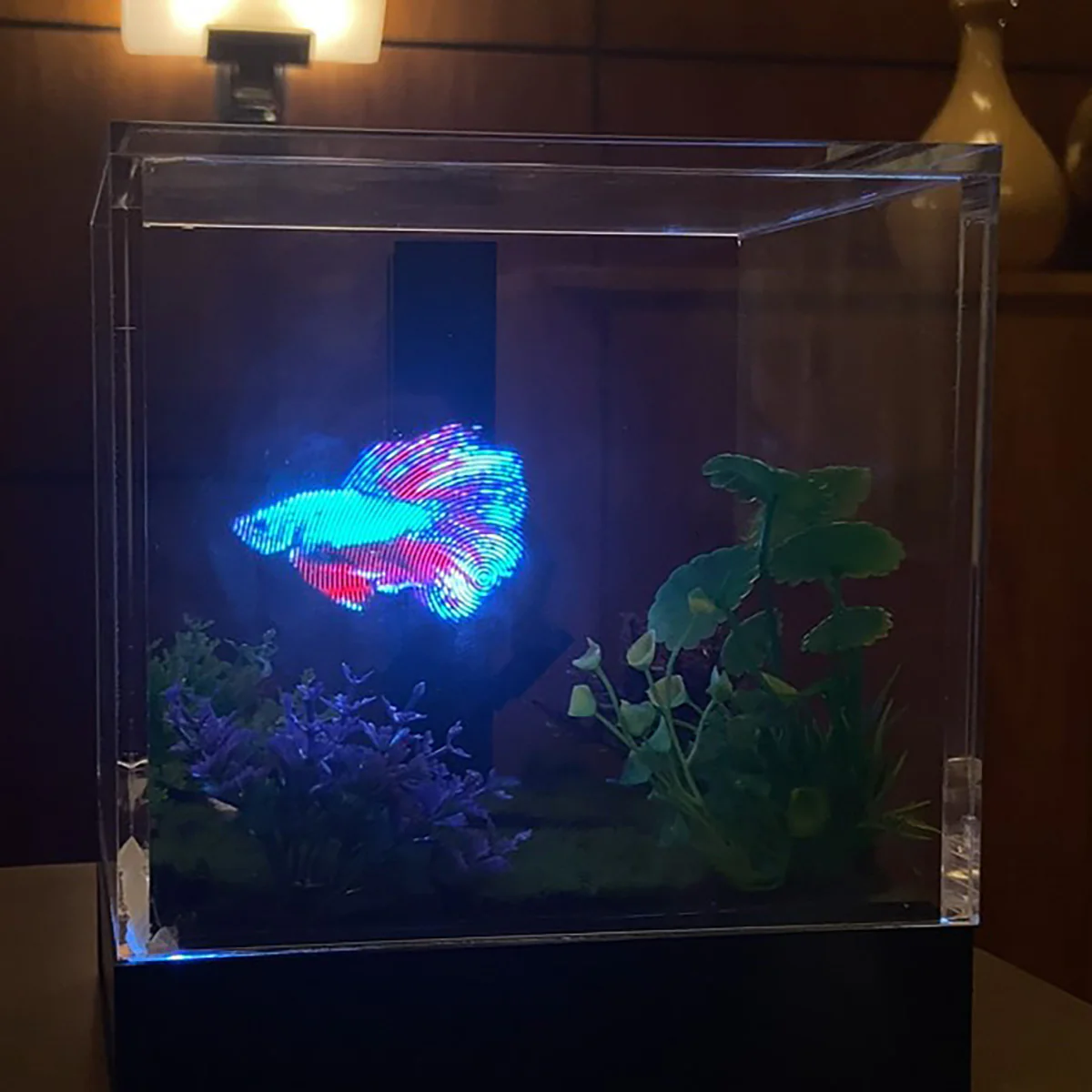 3D Holographic Aquarium - Image 17
