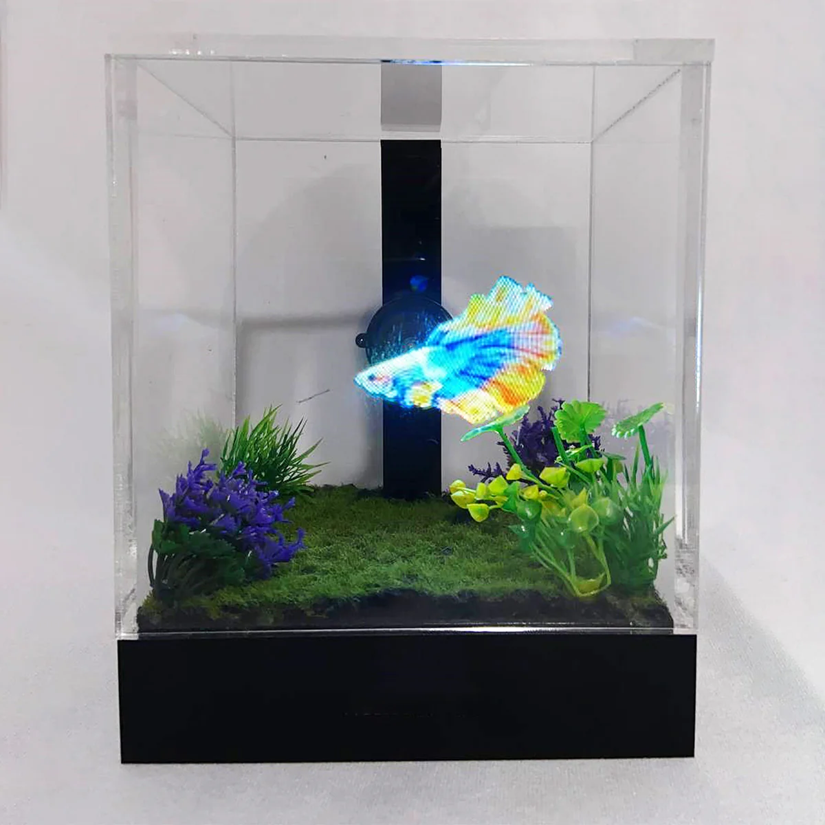 3D Holographic Aquarium - Image 18