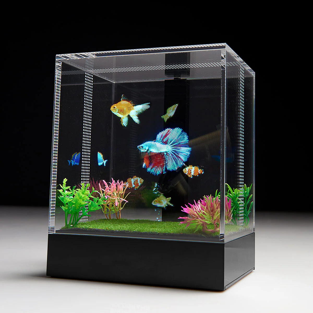 3D Holographic Aquarium - Image 2