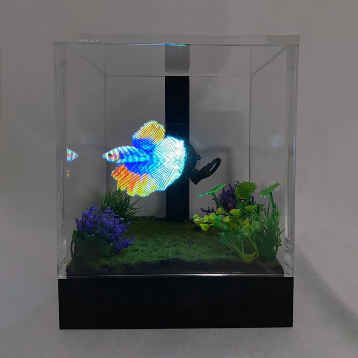 3D Holographic Aquarium - Image 23