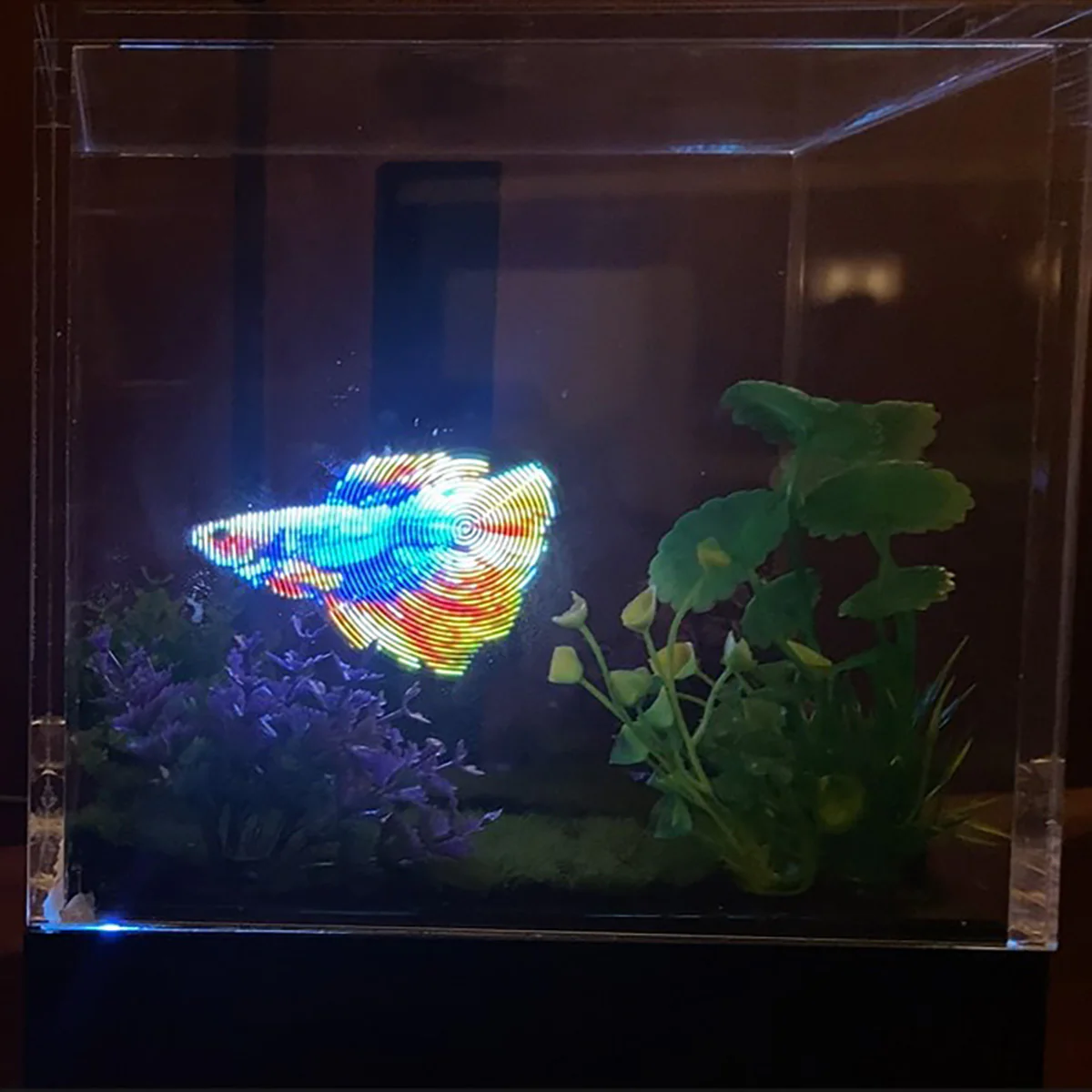 3D Holographic Aquarium - Image 9
