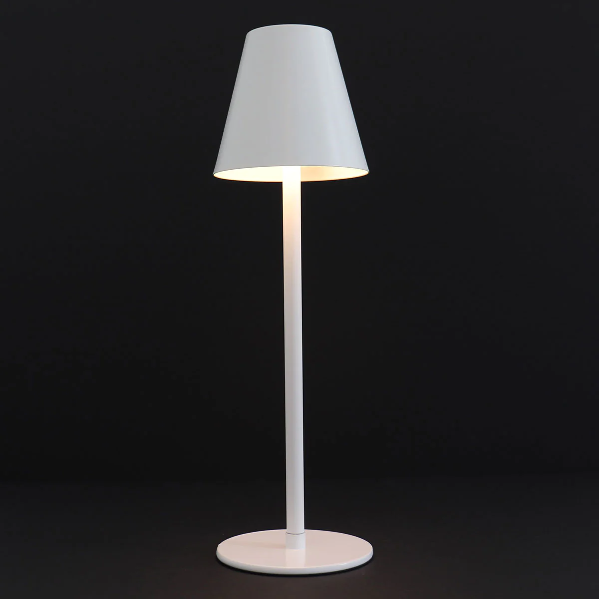 4-in-1 Indoor/Outdoor Bug Deterrent Lamp - Image 34