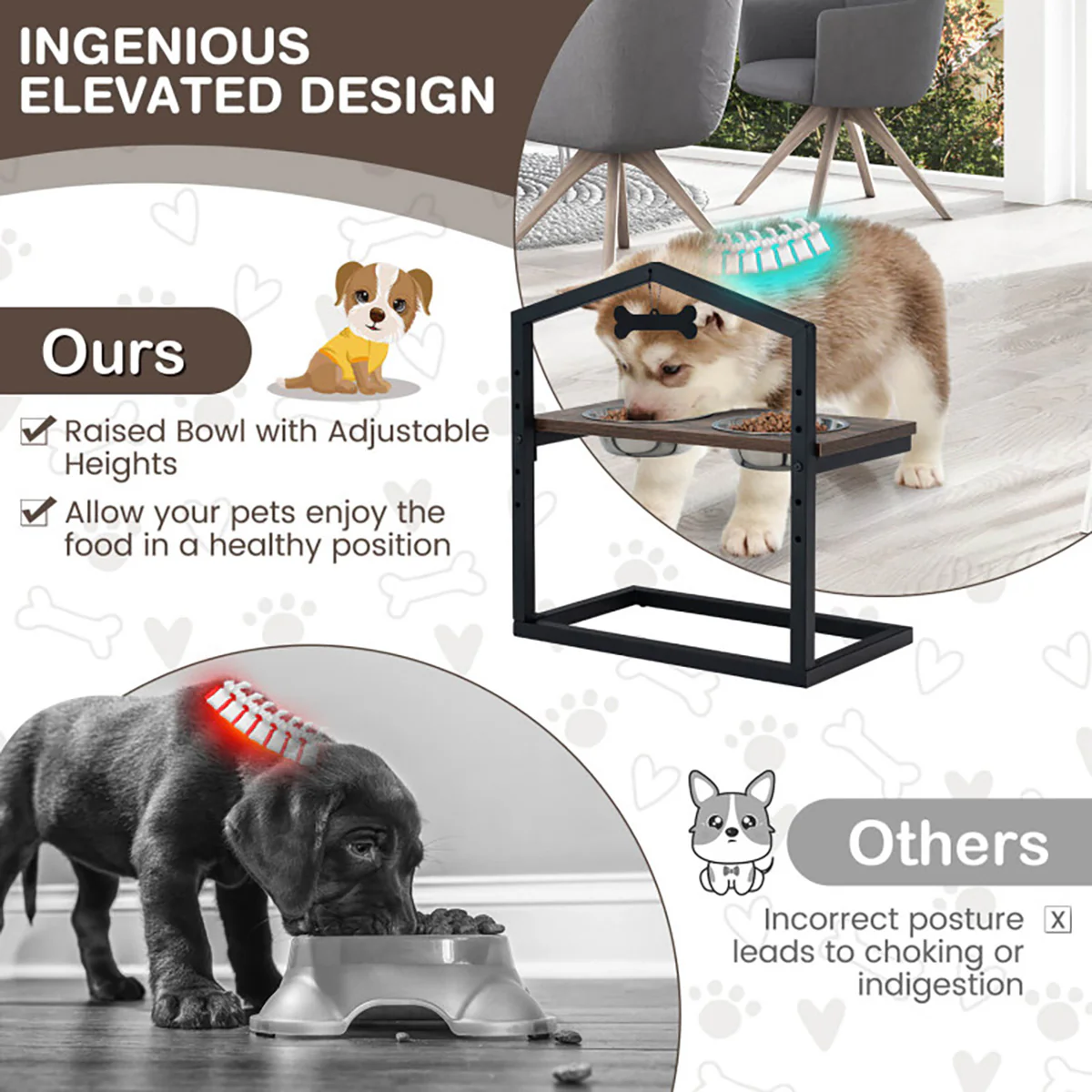 Adjustable Raised Pet Feeder with Stainless Steel Bowls - Image 6