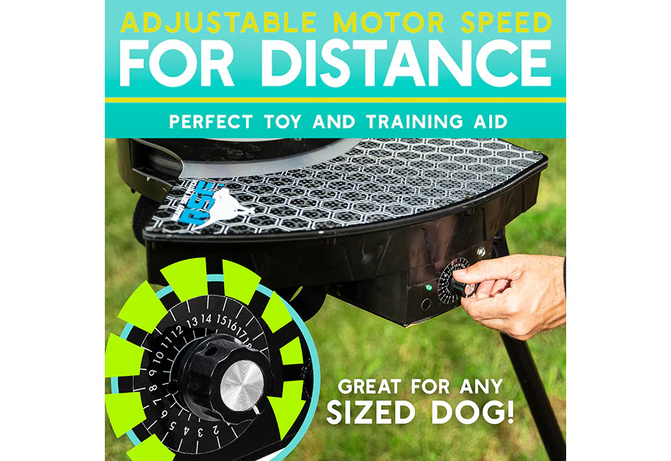 Automatic Dog Disc Launcher - Image 10