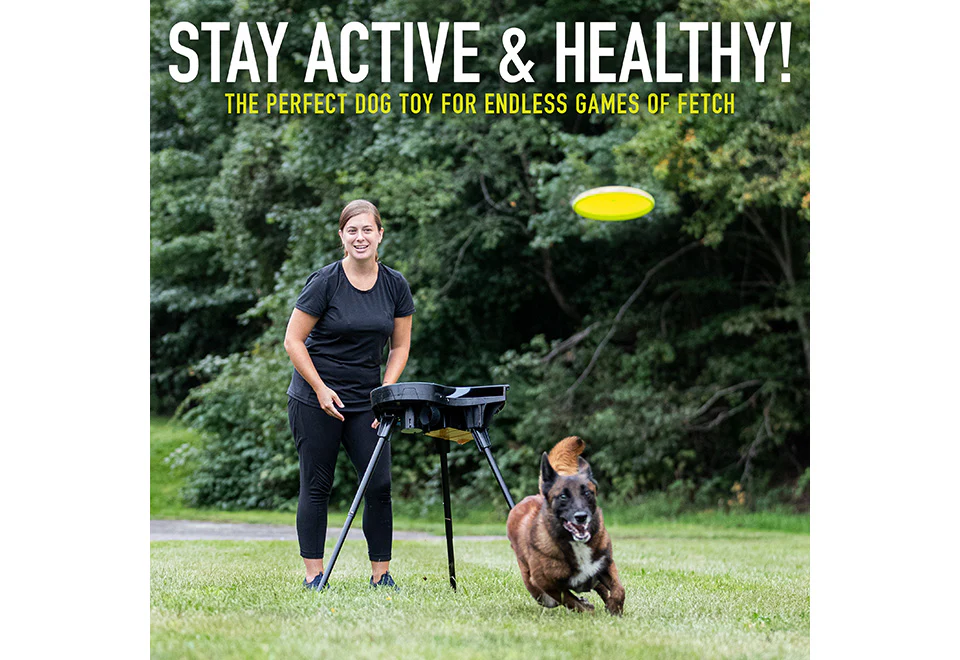 Automatic Dog Disc Launcher - Image 4