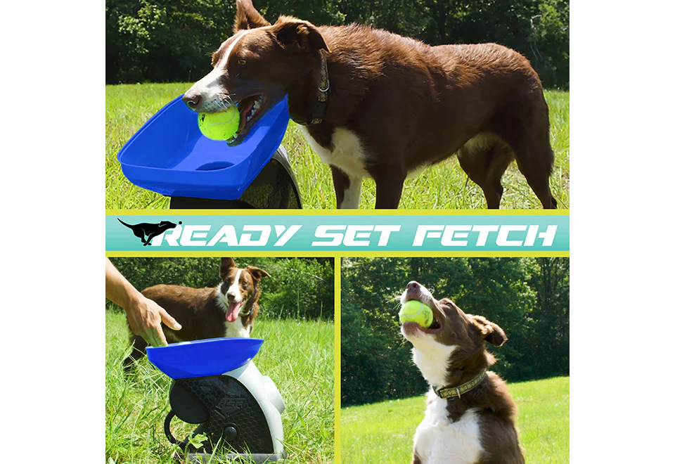 Automatic Tennis Ball Launcher - Image 2
