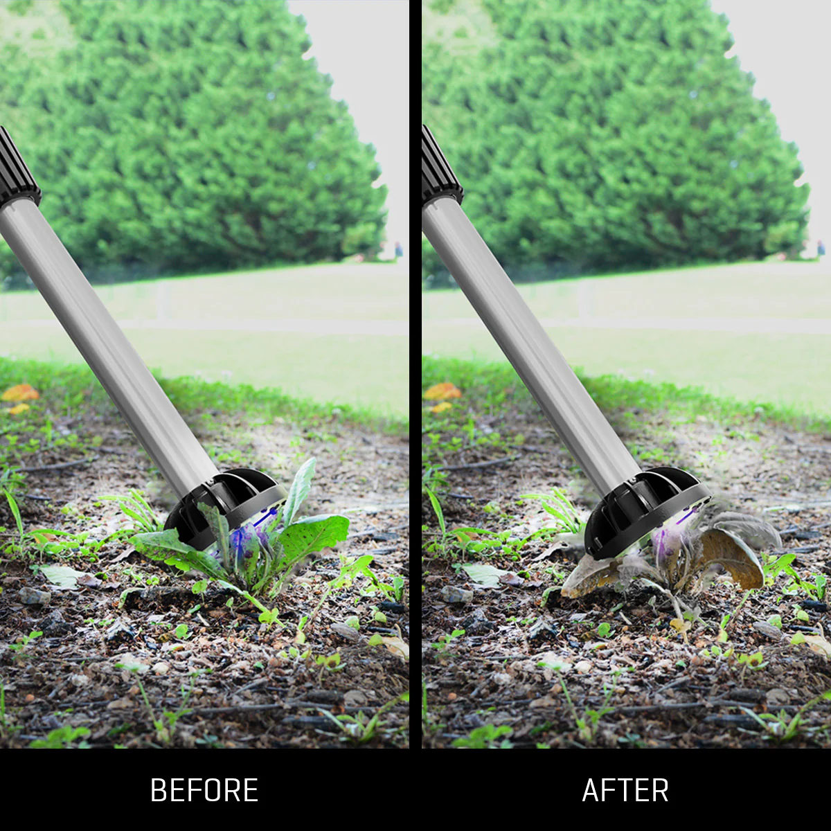Chemical-Free Weed Killer - Image 3