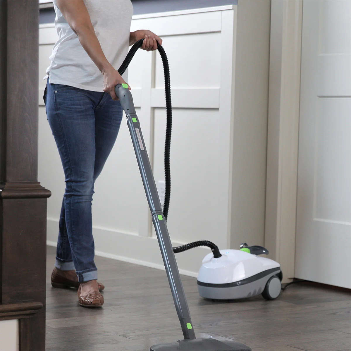 Deluxe Canister Steam Cleaner - Image 11