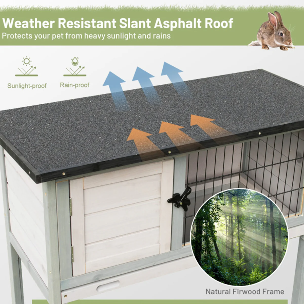 Elevated Rabbit Hutch with Hinged Roof - Image 6