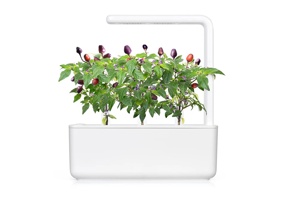 Extra Pods for the World's Smartest Indoor Garden (3-Pack) - Image 3