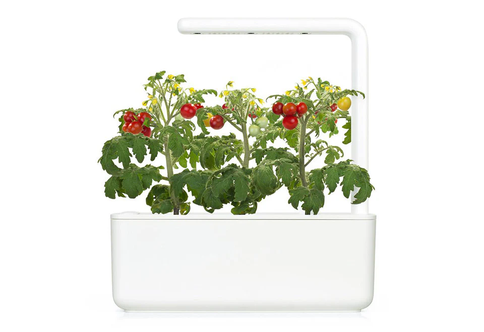 Extra Pods for the World's Smartest Indoor Garden (3-Pack) - Image 4