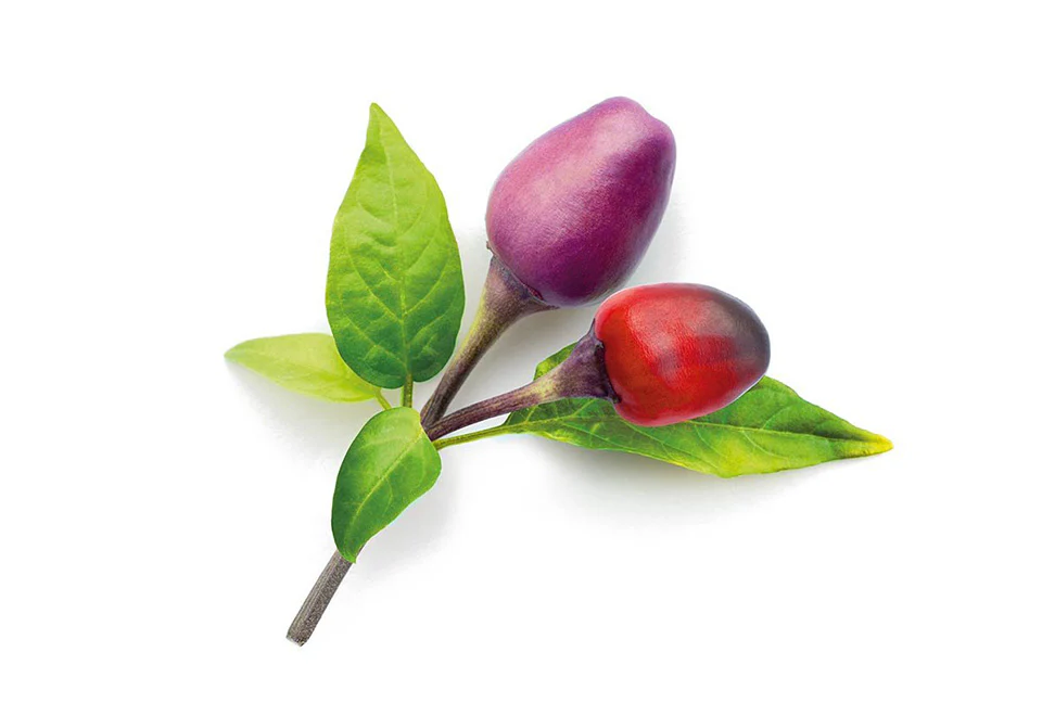 Extra Pods for the World's Smartest Indoor Garden (3-Pack) - Image 5