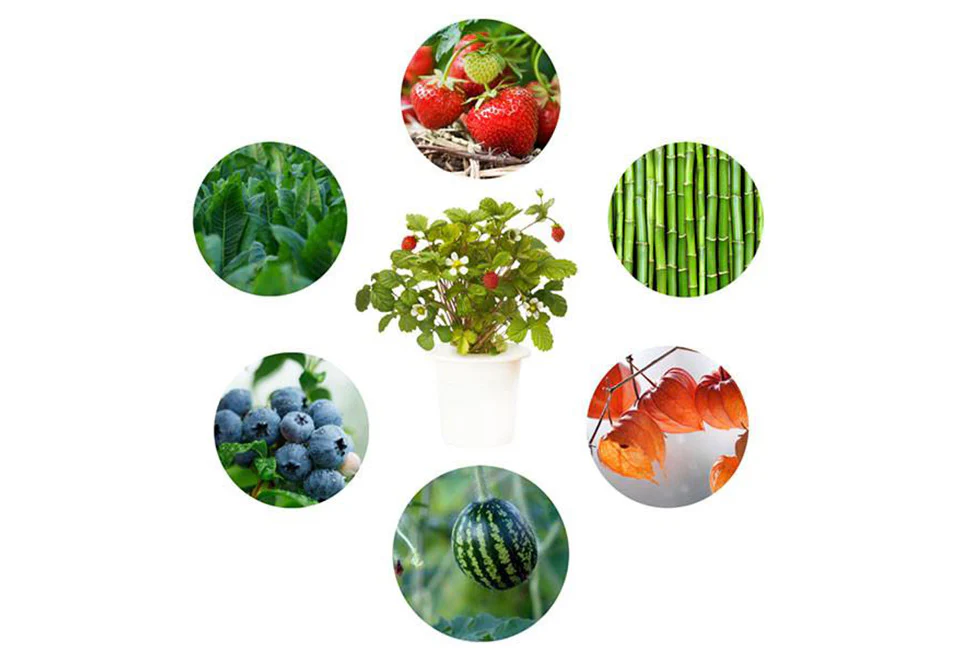 Extra Pods for the World's Smartest Indoor Garden (3-Pack) - Image 7