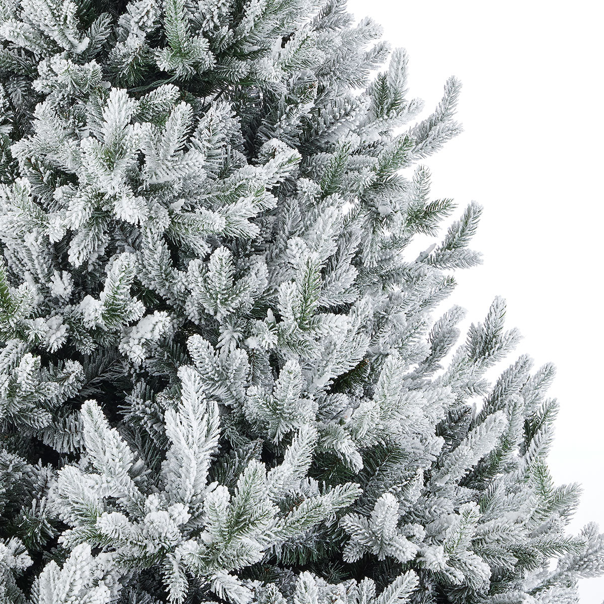 Flocked Frasier Fir Christmas Tree - Image 4