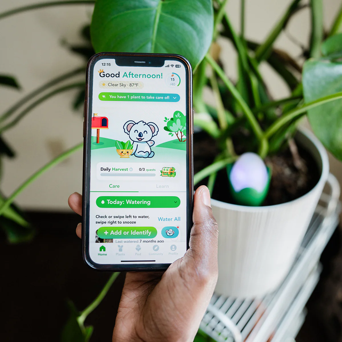 Flora Pod™ Smart Plant Monitor - Image 2