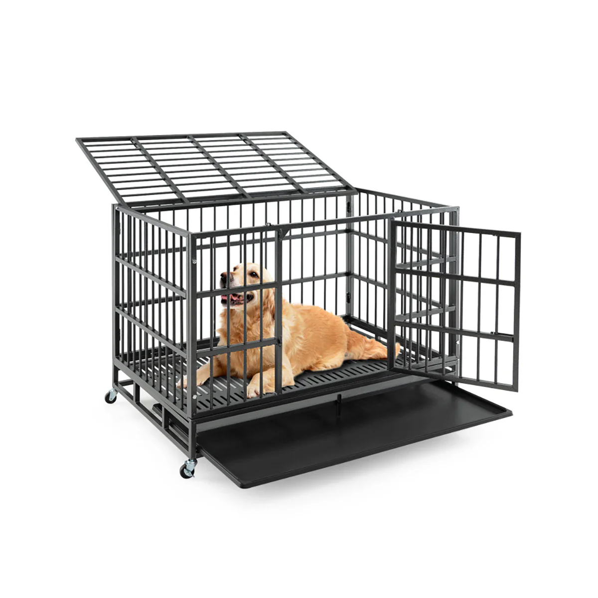 Foldable Heavy-Duty Metal Dog Cage - Image 9