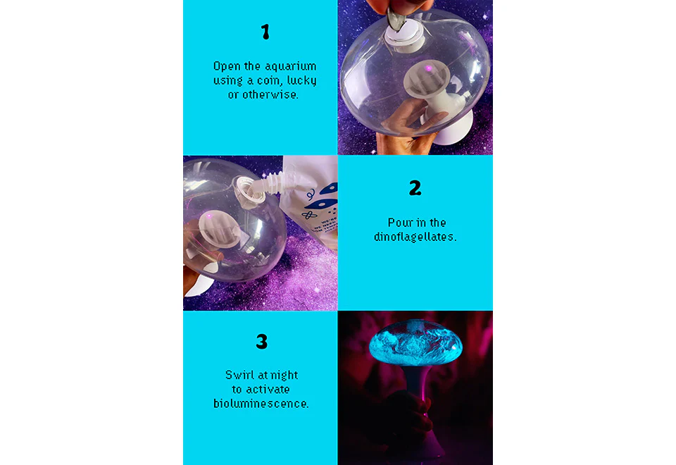 Glowing Plankton Aquarium - Image 5