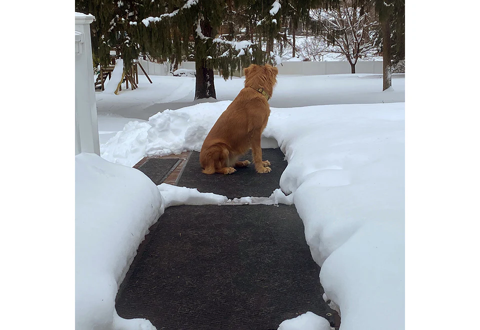 Heated Snow Melting Door Mat - Image 6
