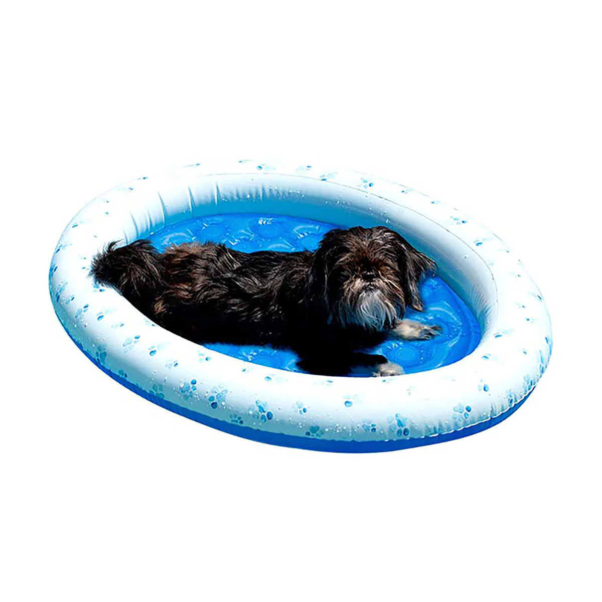 Inflatable Pet Float - Image 2
