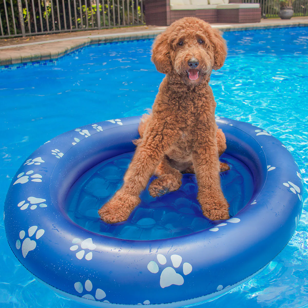 Inflatable Pet Float - Image 3