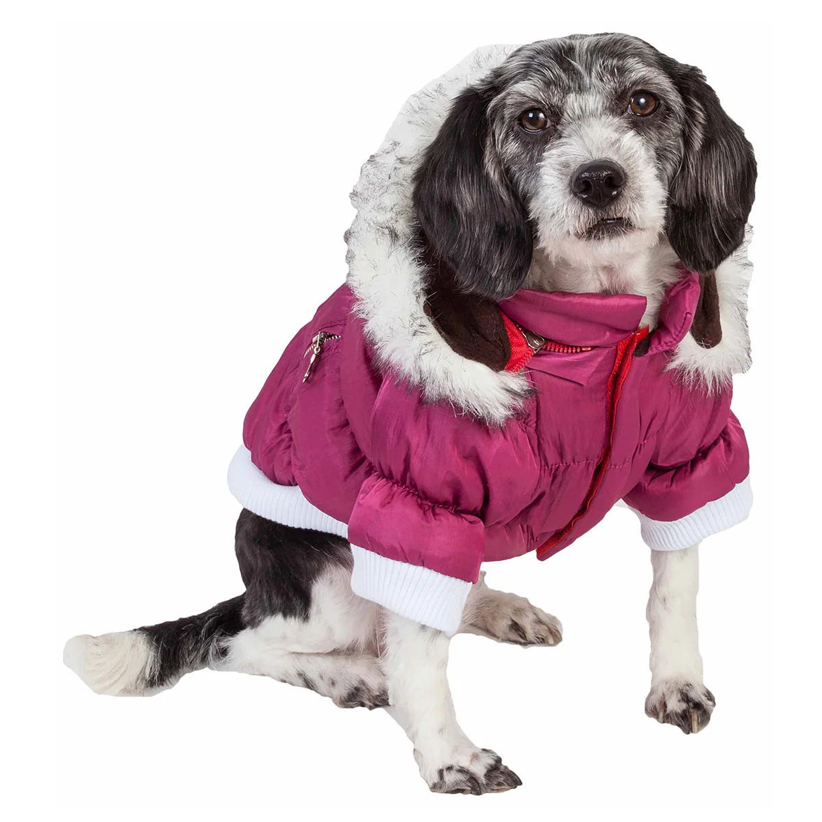 Insulated Dog Coat Parka with Removable Hood - Image 17