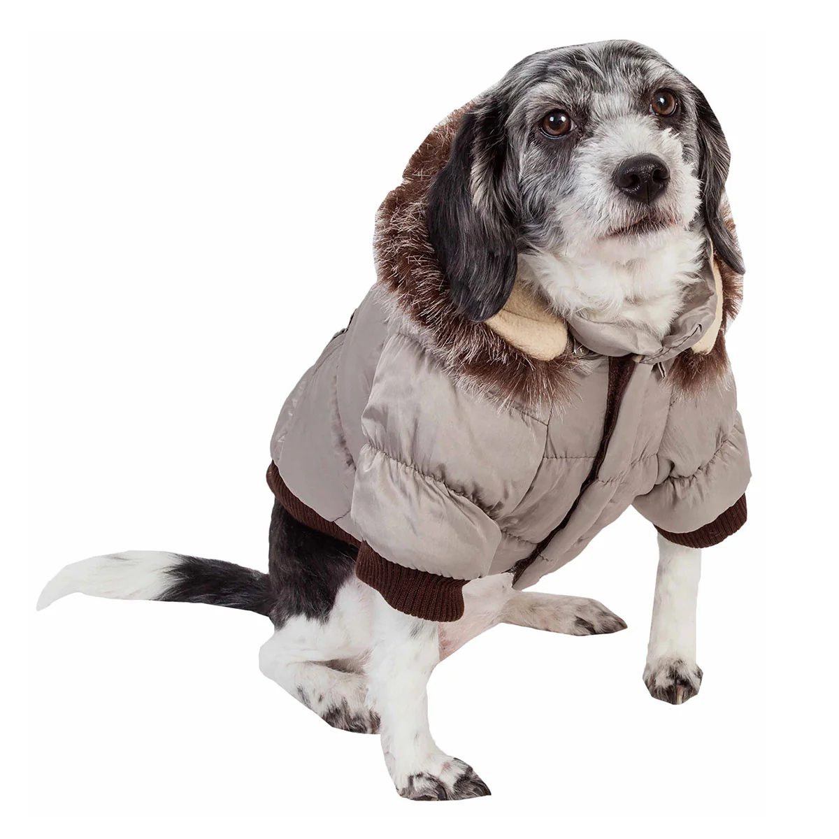 Insulated Dog Coat Parka with Removable Hood - Image 2
