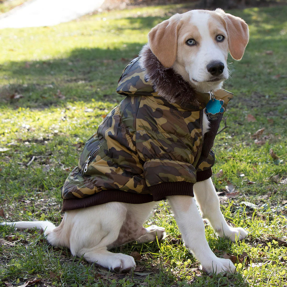 Insulated Dog Coat Parka with Removable Hood - Image 20