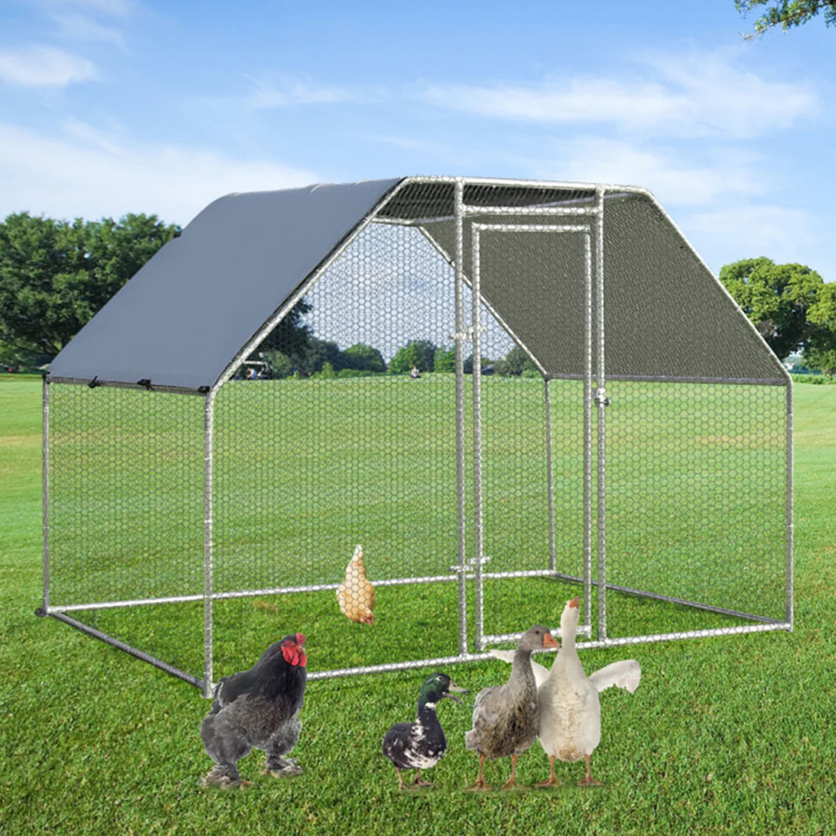 Large Walk In Chicken Run Cage - Image 7