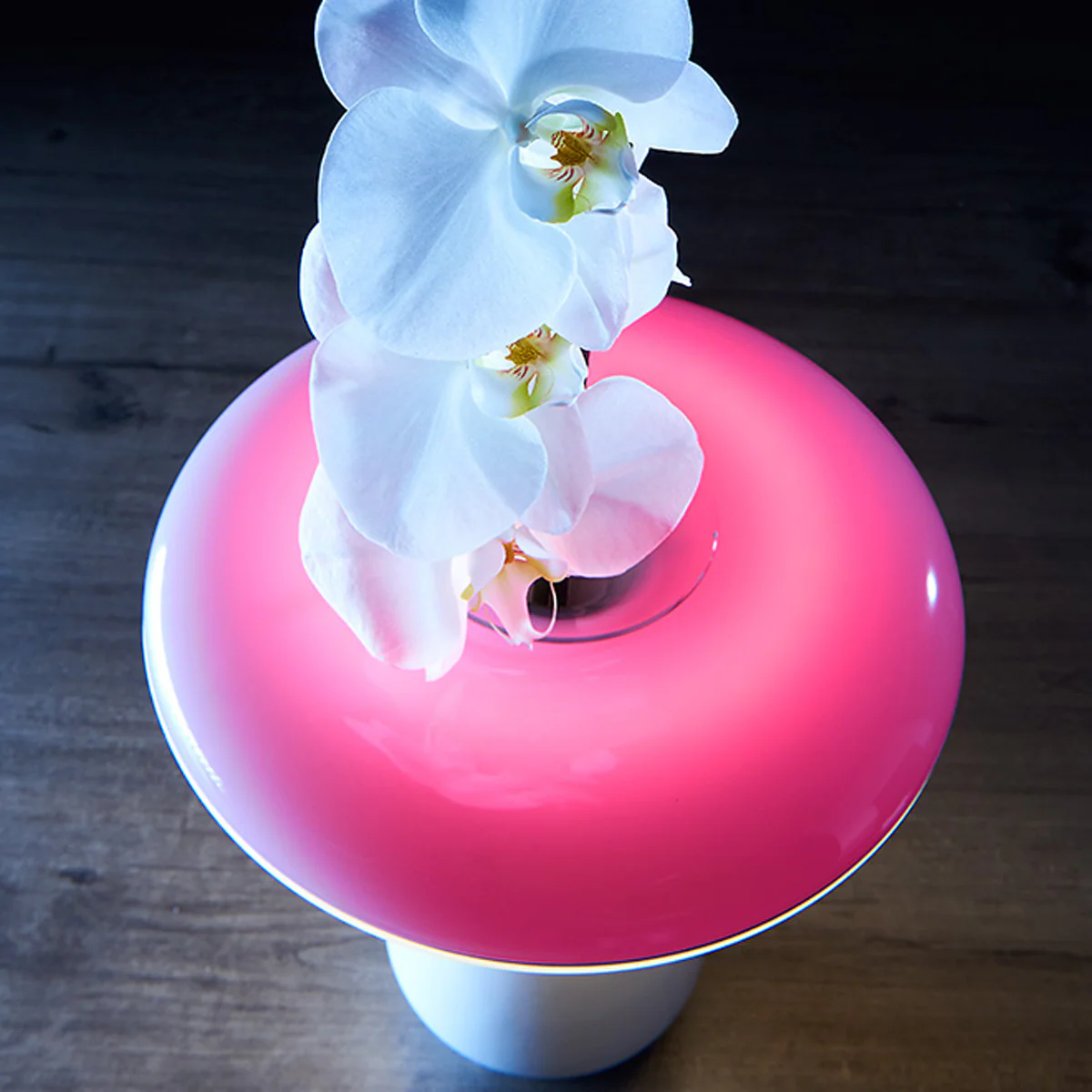 LED Ceramic Flower Vase - Image 8