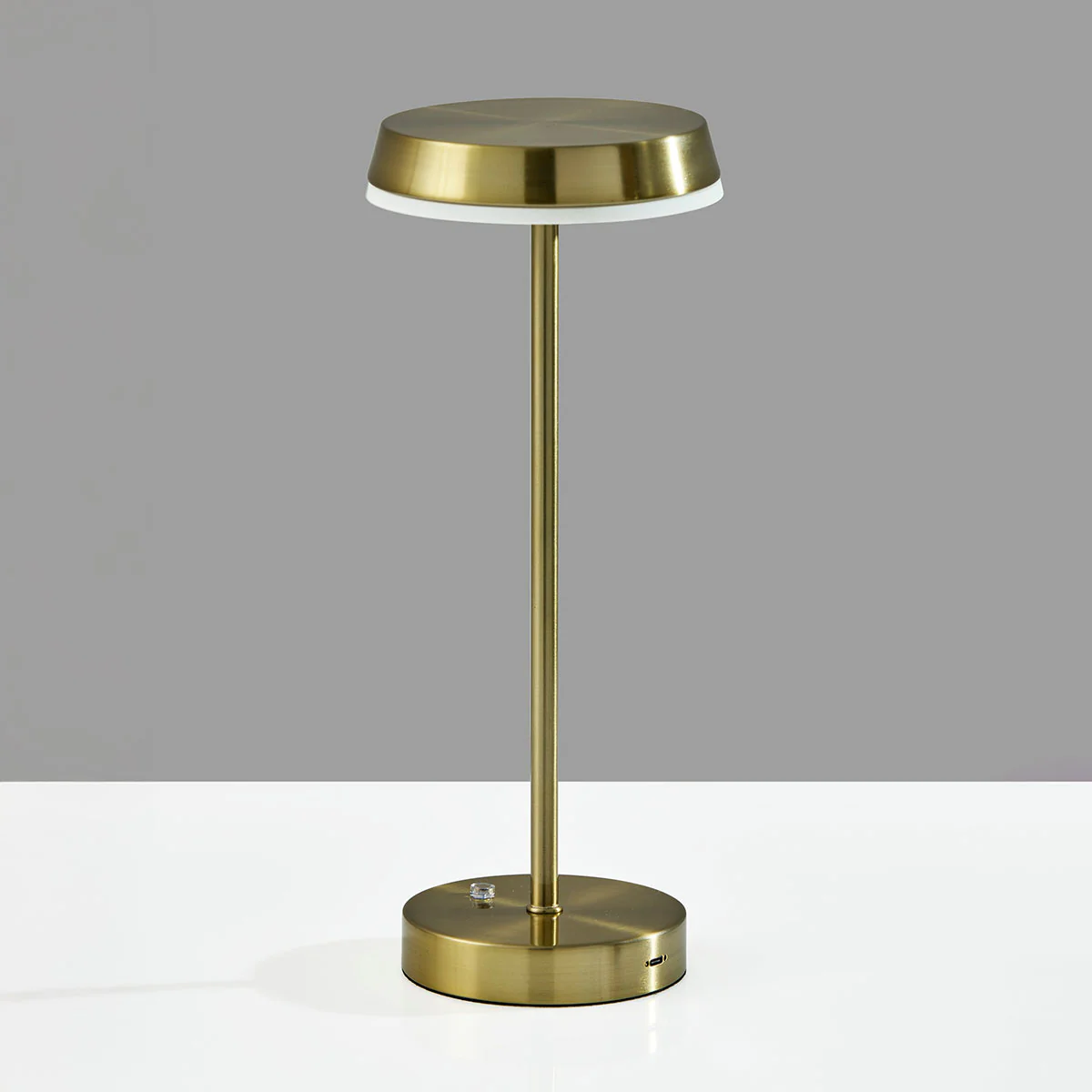 Metal Finish Indoor/Outdoor Cordless LED Table Lamp