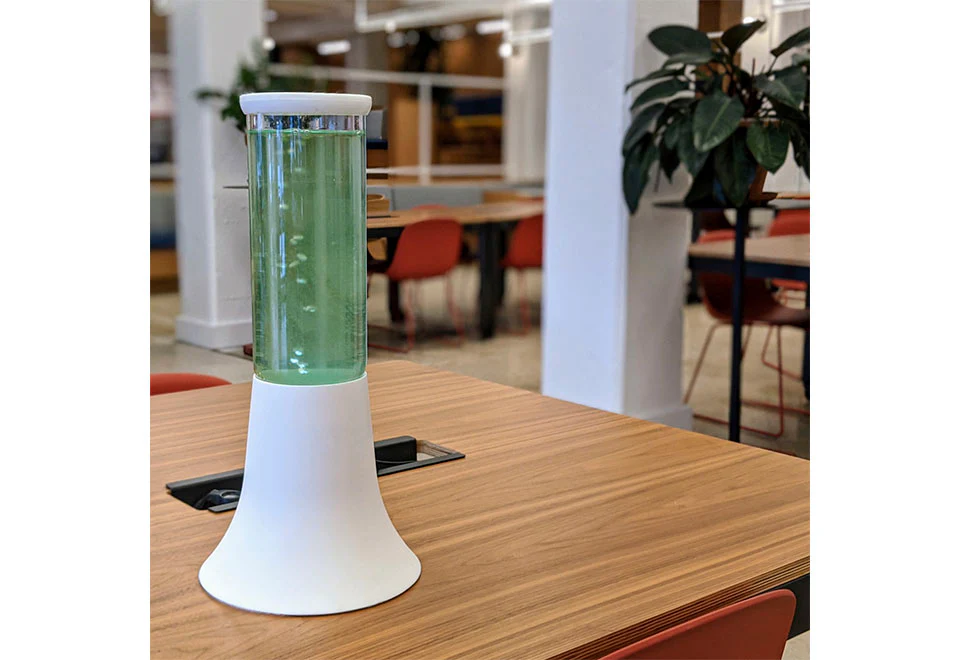 Natural Algae Air Purifier - Image 3