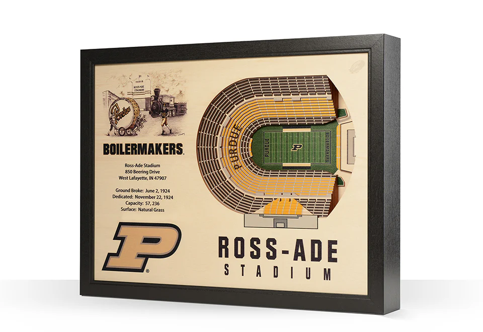 NCAA 3D Stadium Wall Art - Image 42