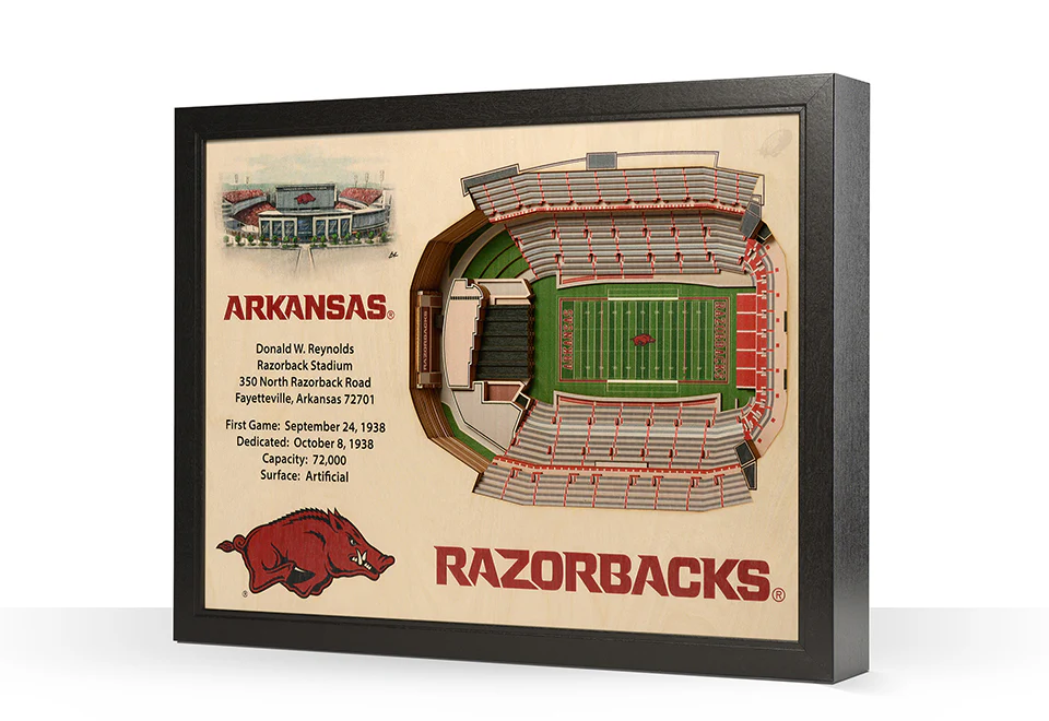 NCAA 3D Stadium Wall Art - Image 66