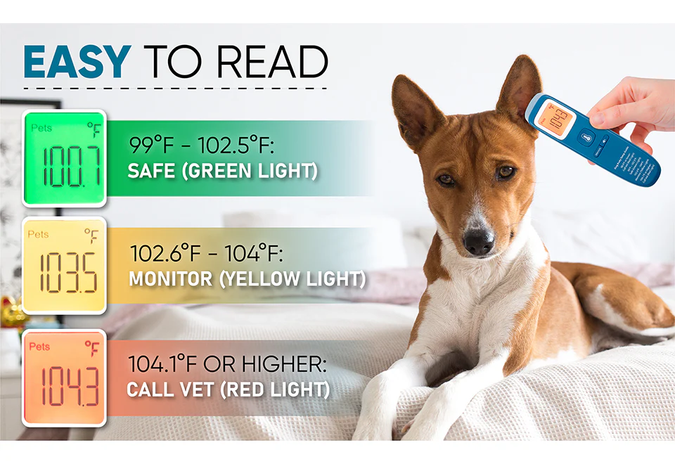 No-Contact Dog Thermometer - Image 3