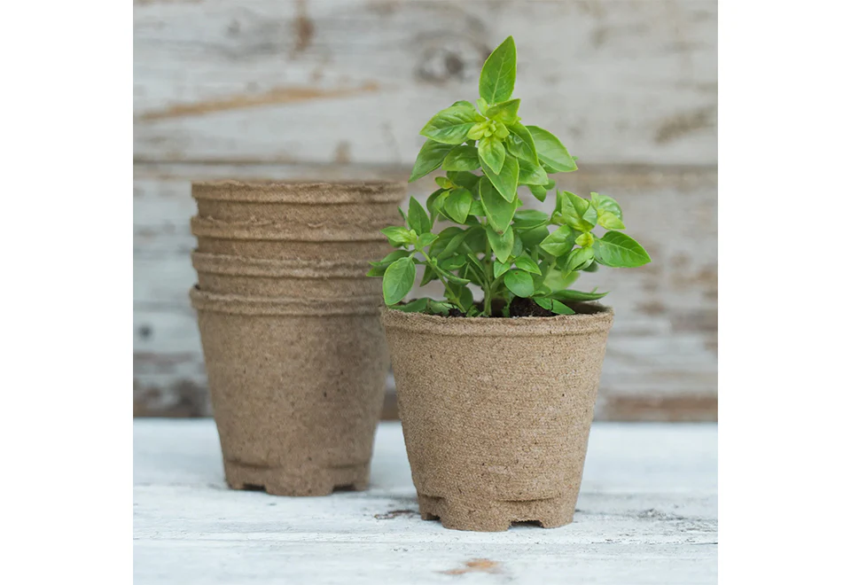Organic Home Garden Gift Box Set - Image 3