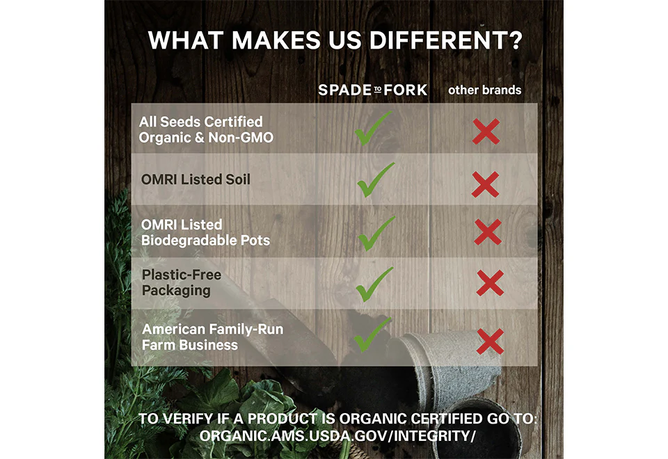 Organic Home Garden Seed Kits - Image 3