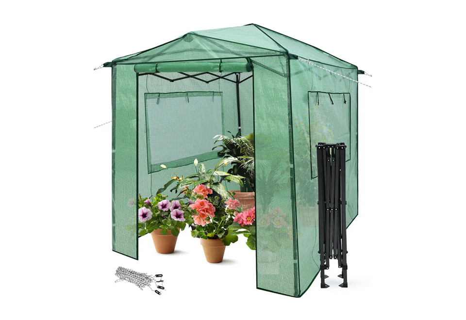 Pop-Up Greenhouse - Image 4