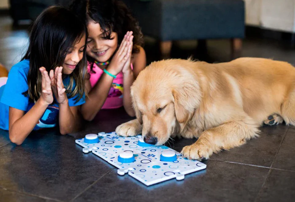 Recordable Pet Training Buttons - Image 14