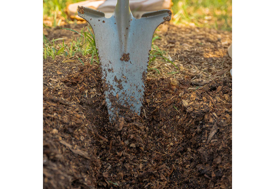 Root Slayer Nomad - Image 4