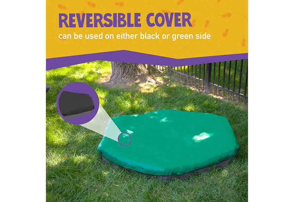 Sandbox Cover - Image 4